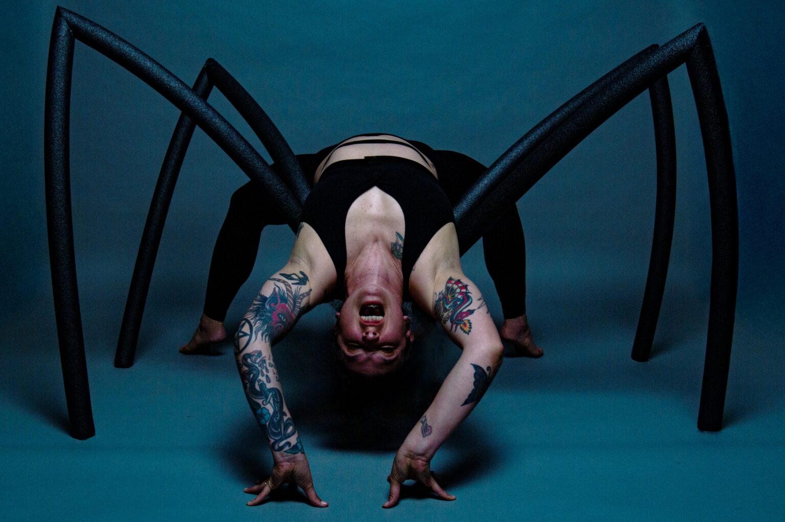 Spider 1.7 levels